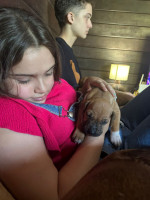 /album/fotos-filhotes2/whatsapp-image-2026-03-30-at-11-33-16-jpeg/